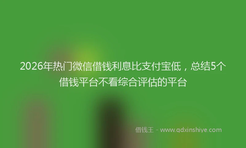 2026年热门微信借钱利息比支付宝低，总结5个借钱平台不看综合评估的平台