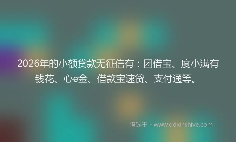 2026年的小额贷款无征信有：团借宝、度小满有钱花、心e金、借款宝速贷、支付通等。