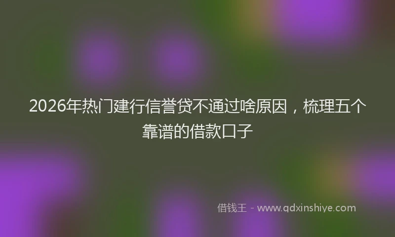 2026年热门建行信誉贷不通过啥原因，梳理五个靠谱的借款口子