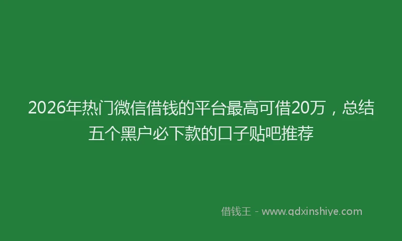2026年热门微信借钱的平台最高可借20万，总结五个黑户必下款的口子贴吧推荐