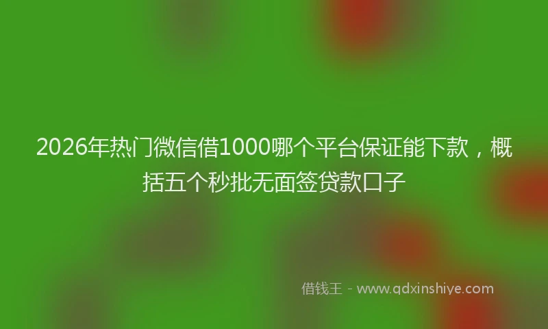 2026年热门微信借1000哪个平台保证能下款，概括五个秒批无面签贷款口子