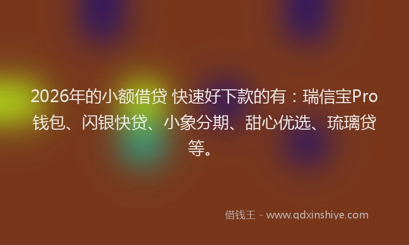 2026年的小额借贷 快速好下款的有：瑞信宝Pro钱包、闪银快贷、小象分期、甜心优选、琉璃贷等。