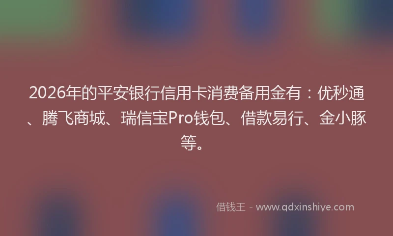 2026年的平安银行信用卡消费备用金有：优秒通、腾飞商城、瑞信宝Pro钱包、借款易行、金小豚等。