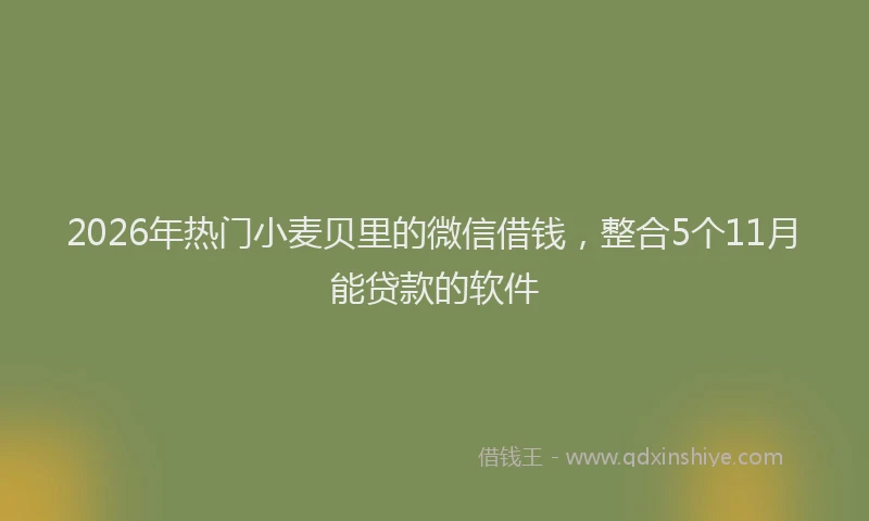 2026年热门小麦贝里的微信借钱，整合5个11月能贷款的软件