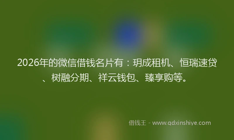 2026年的微信借钱名片有：玥成租机、恒瑞速贷、树融分期、祥云钱包、臻享购等。