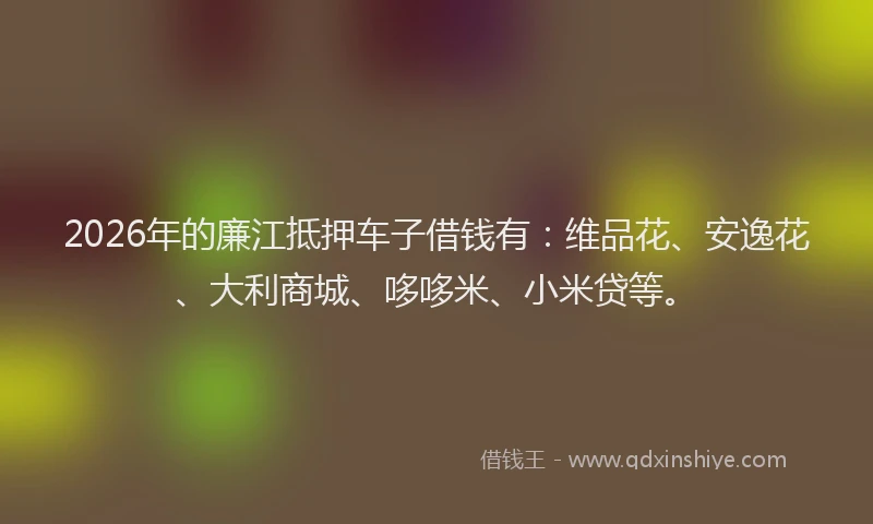 2026年的廉江抵押车子借钱有：维品花、安逸花、大利商城、哆哆米、小米贷等。