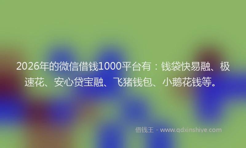 2026年的微信借钱1000平台有:钱袋快易融、极速花、安心贷宝融、飞猪钱包、小鹅花钱等。