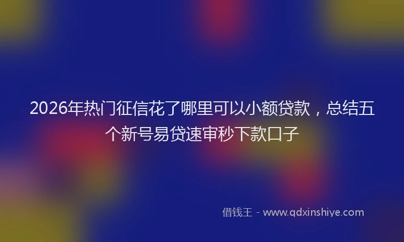 2026年热门征信花了哪里可以小额贷款，总结五个新号易贷速审秒下款口子