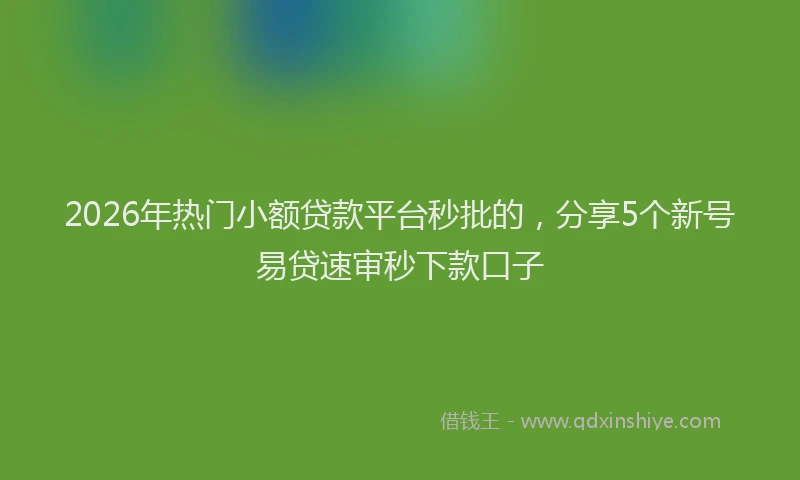 2026年热门小额贷款平台秒批的，分享5个新号易贷速审秒下款口子