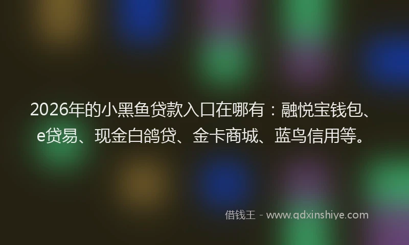 2026年的小黑鱼贷款入口在哪有：融悦宝钱包、e贷易、现金白鸽贷、金卡商城、蓝鸟信用等。