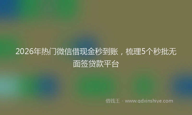 2026年热门微信借现金秒到账，梳理5个秒批无面签贷款平台