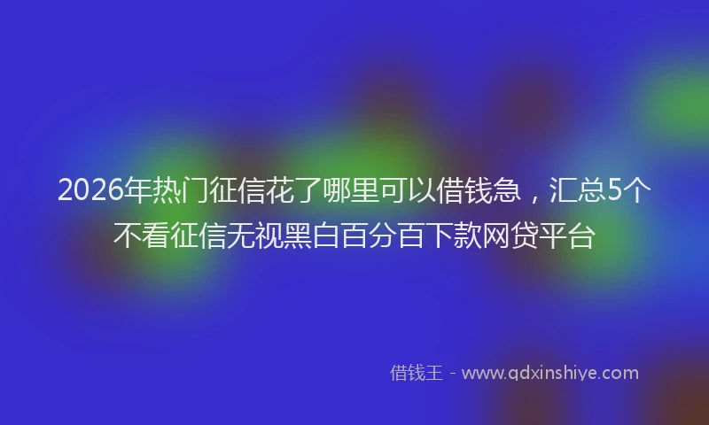 2026年热门征信花了哪里可以借钱急，汇总5个不看征信无视黑白百分百下款网贷平台