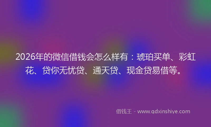 2026年的微信借钱会怎么样有：琥珀买单、彩虹花、贷你无忧贷、通天贷、现金贷易借等。