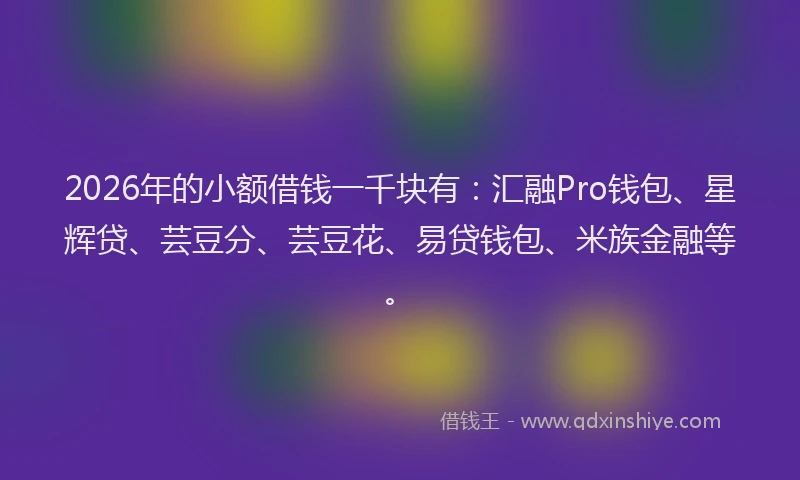 2026年的小额借钱一千块有：汇融Pro钱包、星辉贷、芸豆分、芸豆花、易贷钱包、米族金融等。