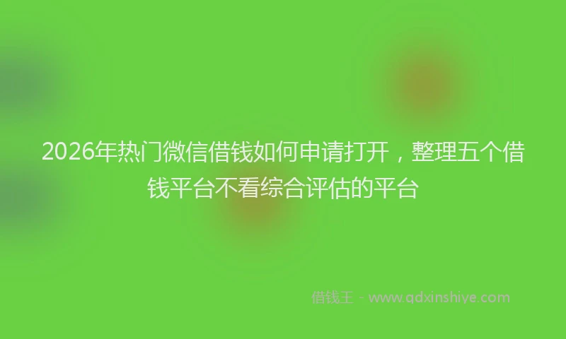 2026年热门微信借钱如何申请打开，整理五个借钱平台不看综合评估的平台