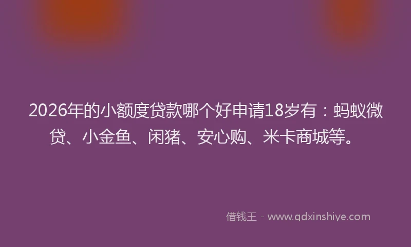2026年的小额度贷款哪个好申请18岁有：蚂蚁微贷、小金鱼、闲猪、安心购、米卡商城等。