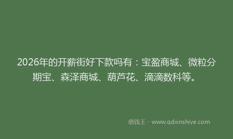 2026年的开薪街好下款吗有：宝盈商城、微粒分期宝、森泽商城、葫芦花、滴滴数科等。
