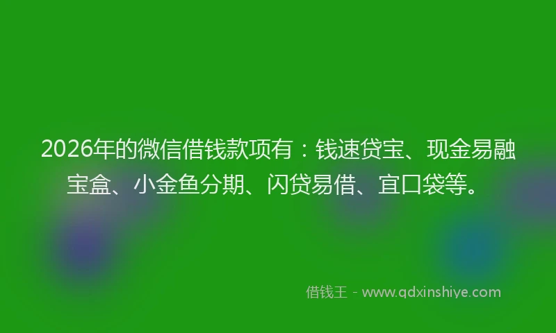 2026年的微信借钱款项有：钱速贷宝、现金易融宝盒、小金鱼分期、闪贷易借、宜口袋等。