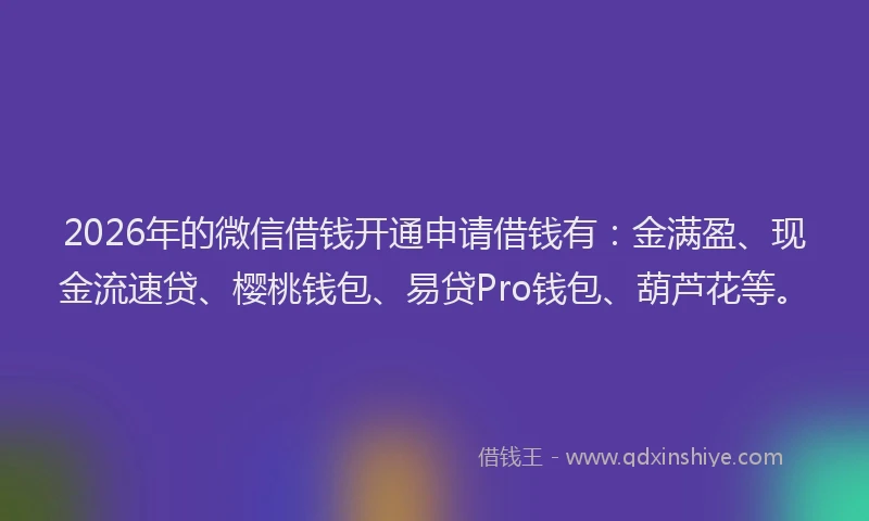 2026年的微信借钱开通申请借钱有：金满盈、现金流速贷、樱桃钱包、易贷Pro钱包、葫芦花等。
