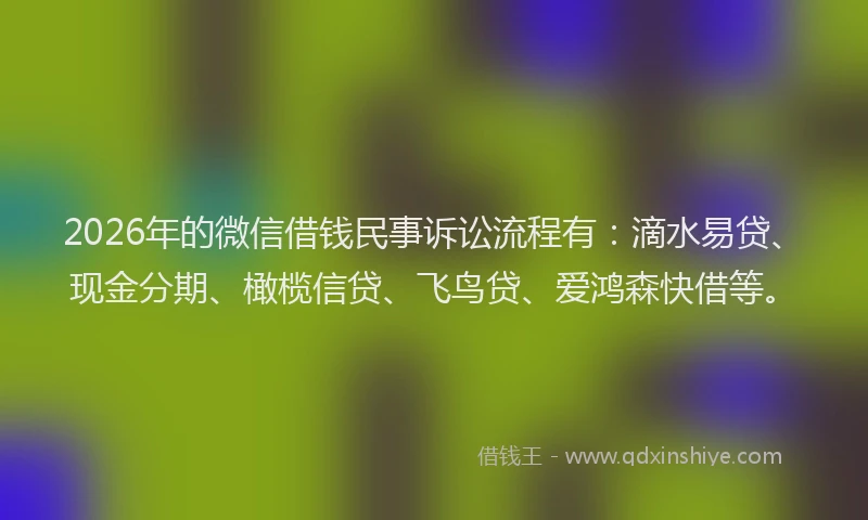 2026年的微信借钱民事诉讼流程有：滴水易贷、现金分期、橄榄信贷、飞鸟贷、爱鸿森快借等。