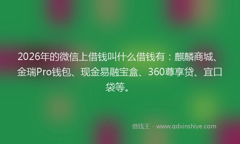 2026年的微信上借钱叫什么借钱有:麒麟商城、金瑞Pro钱包、现金易融宝盒、360尊享贷、宜口袋等。
