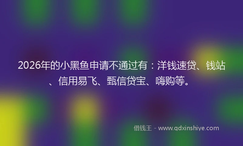 2026年的小黑鱼申请不通过有：洋钱速贷、钱站、信用易飞、甄信贷宝、嗨购等。