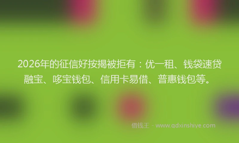 2026年的征信好按揭被拒有：优一租、钱袋速贷融宝、哆宝钱包、信用卡易借、普惠钱包等。