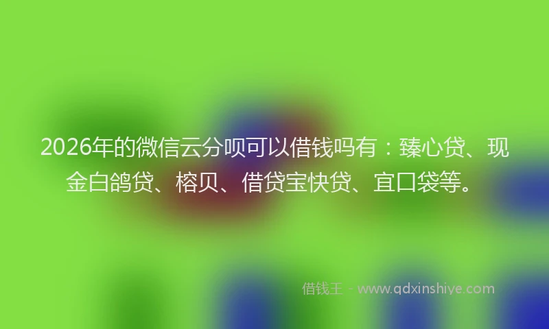 2026年的微信云分呗可以借钱吗有：臻心贷、现金白鸽贷、榕贝、借贷宝快贷、宜口袋等。