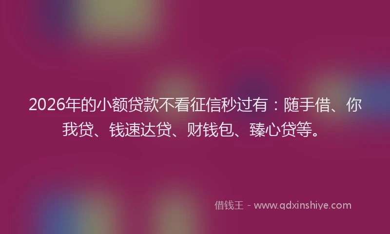 2026年的小额贷款不看征信秒过有：随手借、你我贷、钱速达贷、财钱包、臻心贷等。