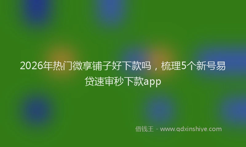 2026年热门微享铺子好下款吗，梳理5个新号易贷速审秒下款app