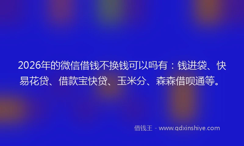 2026年的微信借钱不换钱可以吗有:钱进袋、快易花贷、借款宝快贷、玉米分、森森借呗通等。
