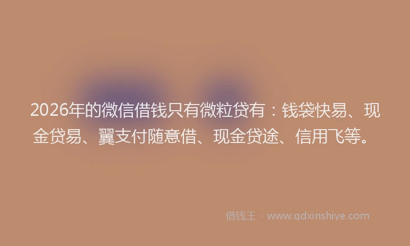 2026年的微信借钱只有微粒贷有：钱袋快易、现金贷易、翼支付随意借、现金贷途、信用飞等。