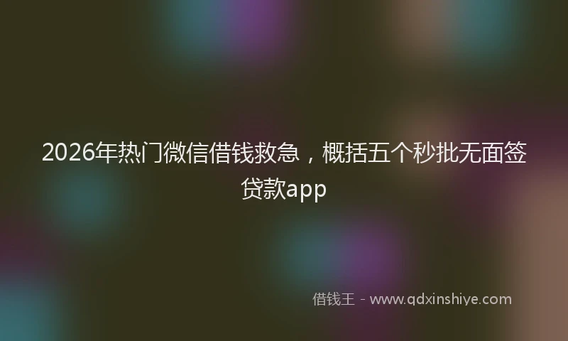 2026年热门微信借钱救急，概括五个秒批无面签贷款app
