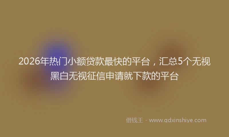 2026年热门小额贷款最快的平台，汇总5个无视黑白无视征信申请就下款的平台