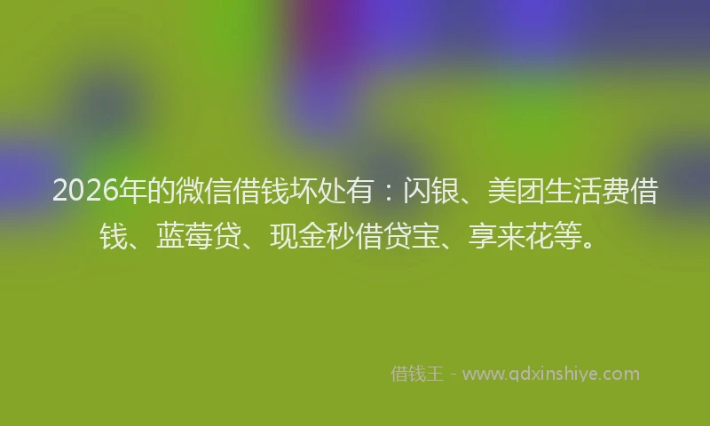 2026年的微信借钱坏处有：闪银、美团生活费借钱、蓝莓贷、现金秒借贷宝、享来花等。