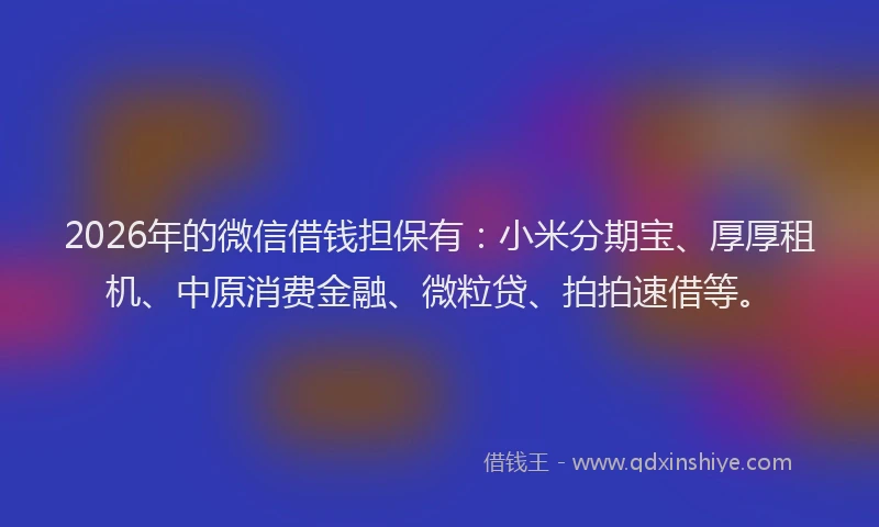 2026年的微信借钱担保有：小米分期宝、厚厚租机、中原消费金融、微粒贷、拍拍速借等。