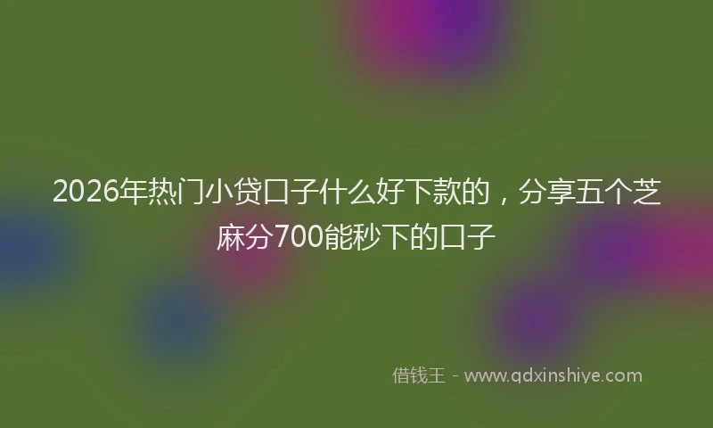 2026年热门小贷口子什么好下款的，分享五个芝麻分700能秒下的口子