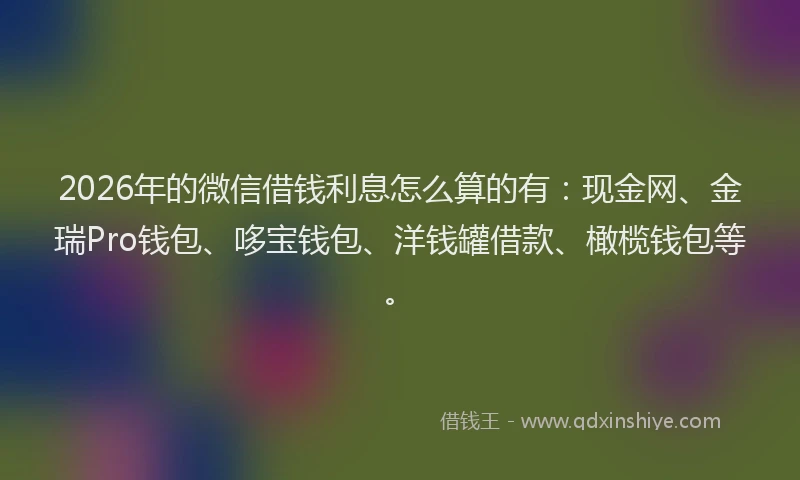 2026年的微信借钱利息怎么算的有:现金网、金瑞Pro钱包、哆宝钱包、洋钱罐借款、橄榄钱包等。