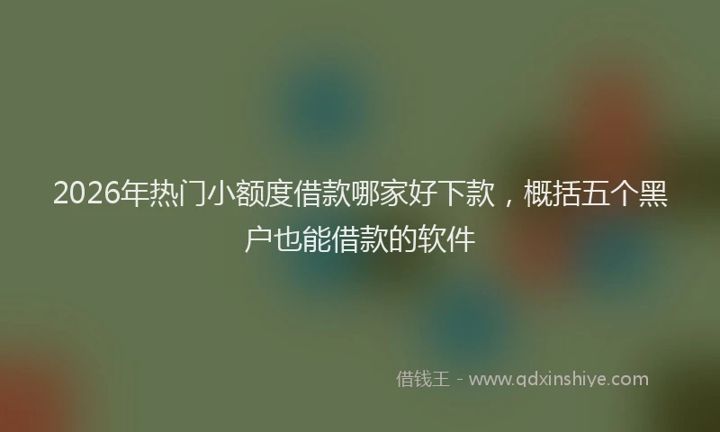 2026年热门小额度借款哪家好下款,概括五个黑户也能借款的软件