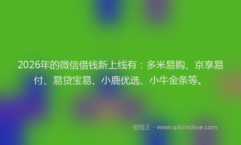 2026年的微信借钱新上线有：多米易购、京享易付、易贷宝易、小鹿优选、小牛金条等。