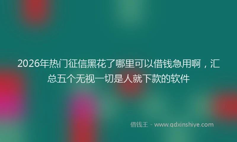 2026年热门征信黑花了哪里可以借钱急用啊，汇总五个无视一切是人就下款的软件