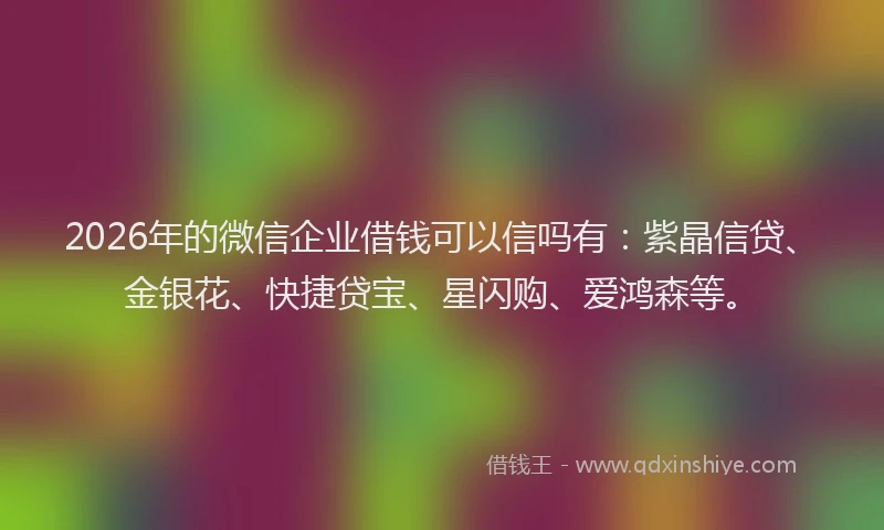 2026年的微信企业借钱可以信吗有：紫晶信贷、金银花、快捷贷宝、星闪购、爱鸿森等。