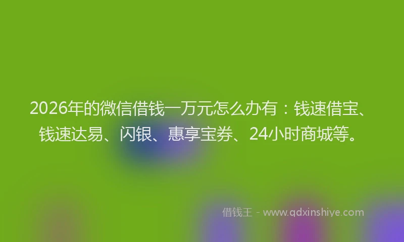 2026年的微信借钱一万元怎么办有：钱速借宝、钱速达易、闪银、惠享宝券、24小时商城等。