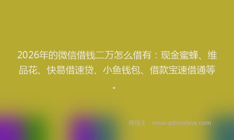 2026年的微信借钱二万怎么借有：现金蜜蜂、维品花、快易借速贷、小鱼钱包、借款宝速借通等。