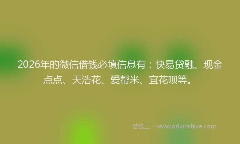 2026年的微信借钱必填信息有：快易贷融、现金点点、天浩花、爱帮米、宜花呗等。