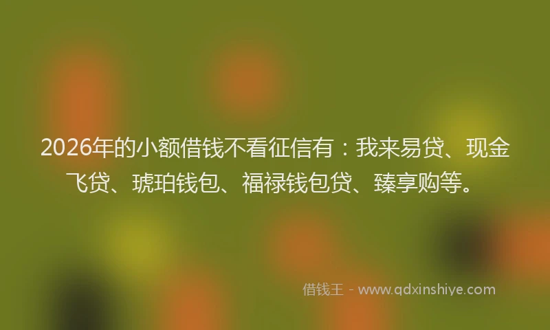 2026年的小额借钱不看征信有：我来易贷、现金飞贷、琥珀钱包、福禄钱包贷、臻享购等。