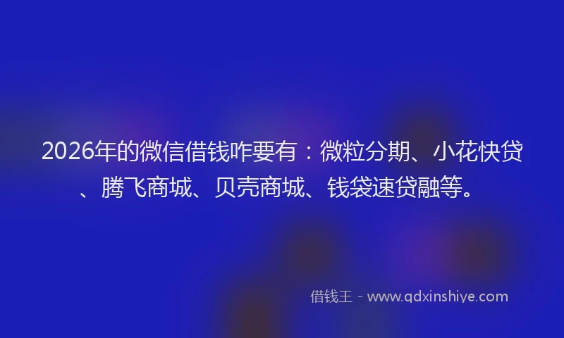 2026年的微信借钱咋要有：微粒分期、小花快贷、腾飞商城、贝壳商城、钱袋速贷融等。