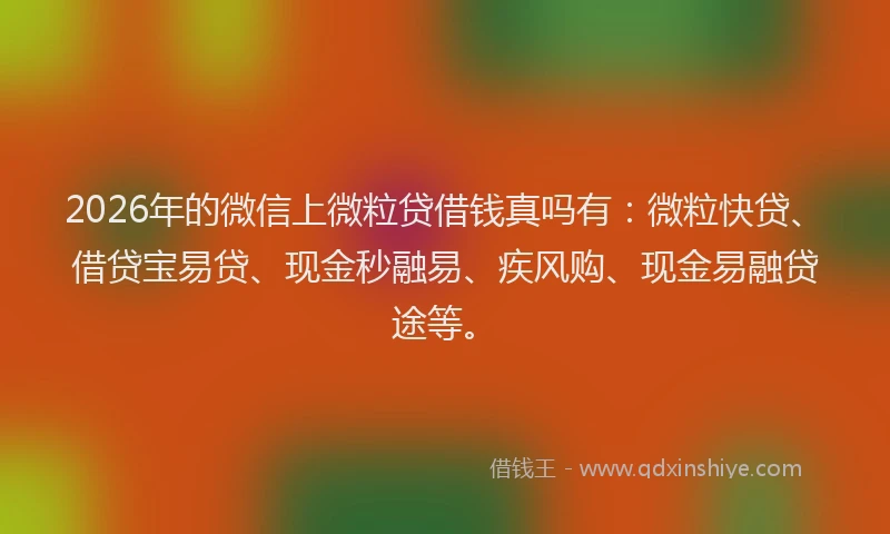 2026年的微信上微粒贷借钱真吗有：微粒快贷、借贷宝易贷、现金秒融易、疾风购、现金易融贷途等。