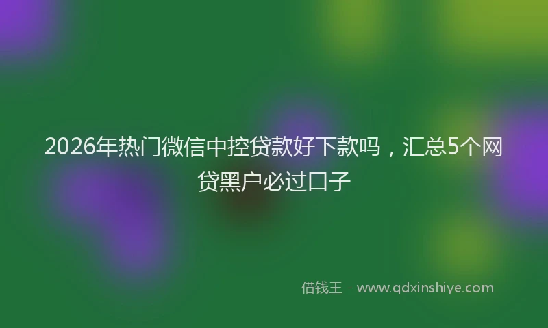 2026年热门微信中控贷款好下款吗，汇总5个网贷黑户必过口子