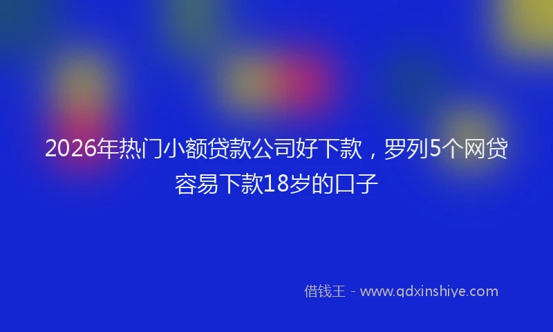 2026年热门小额贷款公司好下款，罗列5个网贷容易下款18岁的口子